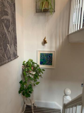 Villa Dolgellau Townhouse 2 Minutes To Town & Mountains Extérieur photo