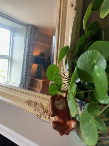 Villa Dolgellau Townhouse 2 Minutes To Town & Mountains Extérieur photo