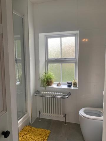 Villa Dolgellau Townhouse 2 Minutes To Town & Mountains Extérieur photo